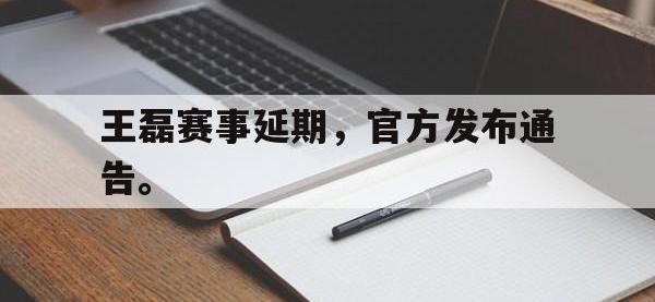 九城游戏中心官网-王磊赛事延期，官方发布通告。