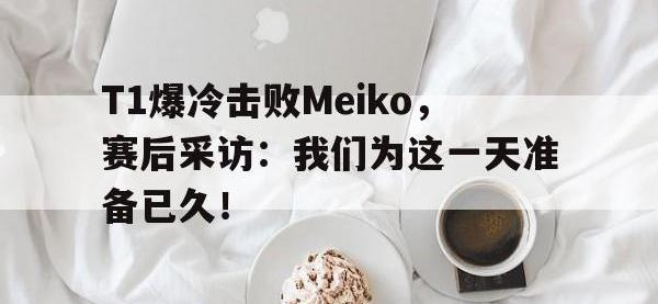 九游游戏中心网页版-T1爆冷击败Meiko，赛后采访：我们为这一天准备已久！