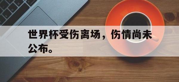 世界杯受伤离场，伤情尚未公布。