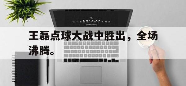 九城游戏中心官网-王磊点球大战中胜出，全场沸腾。