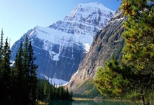 九城游戏中心官网-库里重要时刻大比分获胜，塞尔维亚队带队取胜！的简单介绍